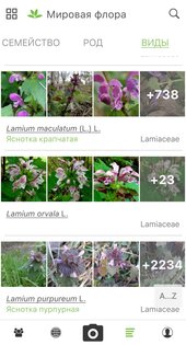 PlantNet 3.25.3. Скриншот 4