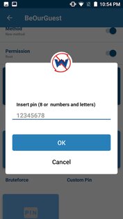 WPS WPA Tester 5.164. Скриншот 5