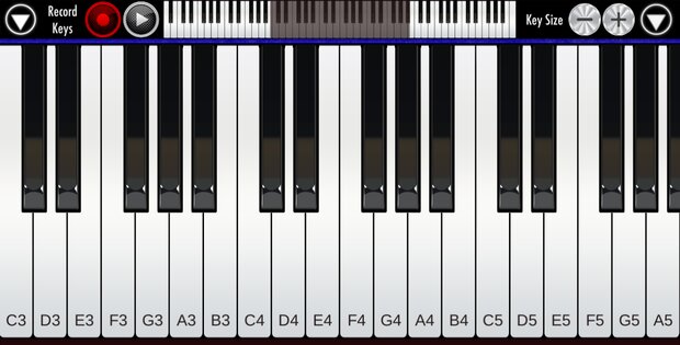 Real Piano 1.28. Скриншот 5