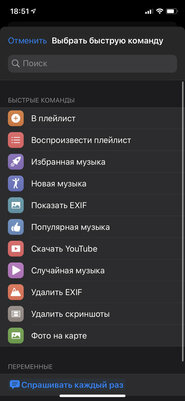 Как добавить плейлист из Apple Music на домашний экран iPhone