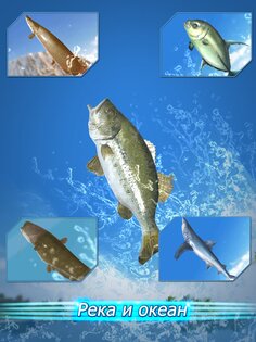 Fishing Season 1.12.16. Скриншот 10