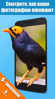 Jellify 1.7.2. Скриншот 2