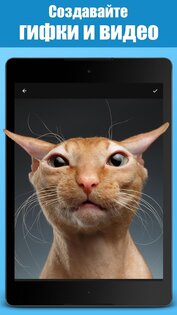 Jellify 1.7.2. Скриншот 4
