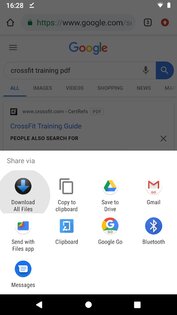 Download All Files 3.5.0. Скриншот 4