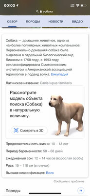 Тигр в гостиной? В поисковике Google новая фишка: как ею пользоваться