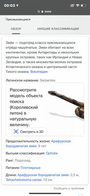 Тигр в гостиной? В поисковике Google новая фишка: как ею пользоваться