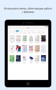 Foxit PDF Editor 2026.4.3.0527.0810. Скриншот 16