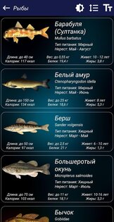 Прогноз клева 9.4. Скриншот 6