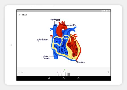 Notebook – делайте заметки 6.8.9. Скриншот 10