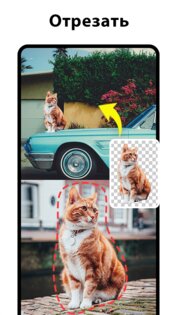PicPlus 1.9.8. Скриншот 5