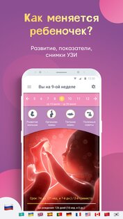Календарь беременности 3.77.0.1. Скриншот 1