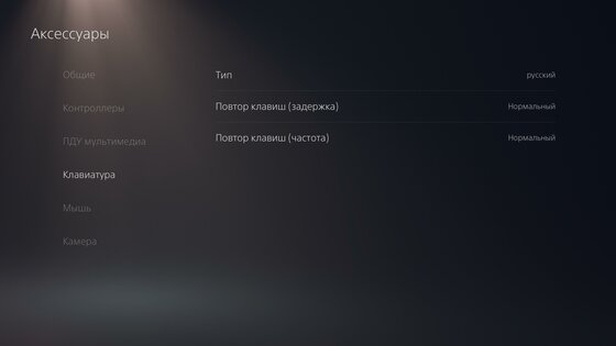 Тест PlayStation 5 — сила в геймпаде, брат