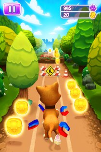 Pet Run 1.26.4. Скриншот 1