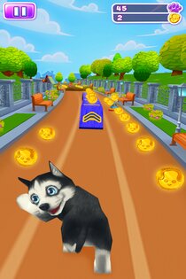 Pet Run 1.26.4. Скриншот 3