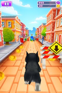 Pet Run 1.26.4. Скриншот 10