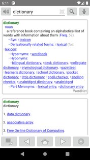 Fora Dictionary 24.1.0. Скриншот 2