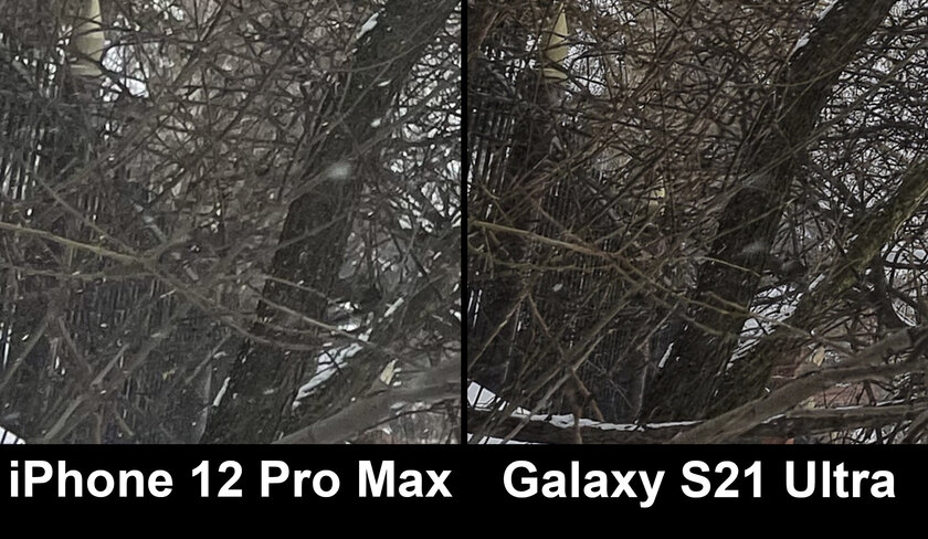 Битва камер: Galaxy S21 Ultra против iPhone 12 Pro Max. Я ожидал другого — Основной модуль. 4