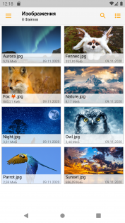 Fennec File Manager 4.3.0. Скриншот 2