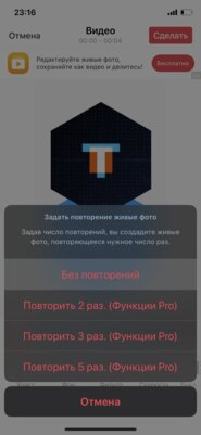 Как поставить видео на обои телефона Android или iPhone: несколько способов