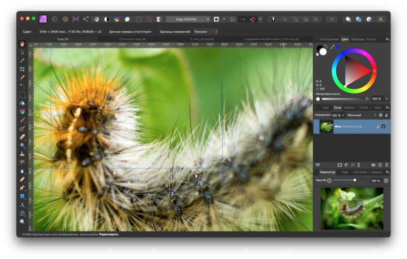 Новая утилита Adobe увеличивает фото без потерь: тестирую её в сравнении с аналогами