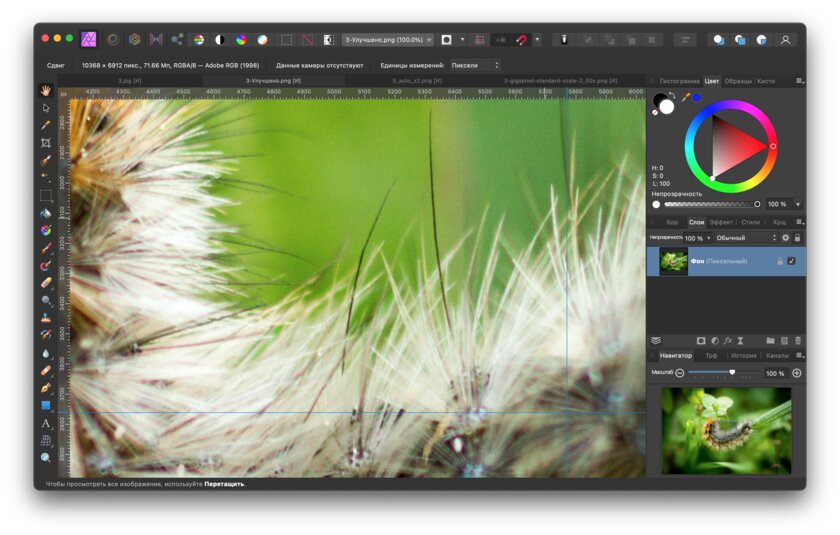 Новая утилита Adobe увеличивает фото без потерь: тестирую её в сравнении с аналогами
