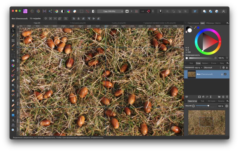 Новая утилита Adobe увеличивает фото без потерь: тестирую её в сравнении с аналогами