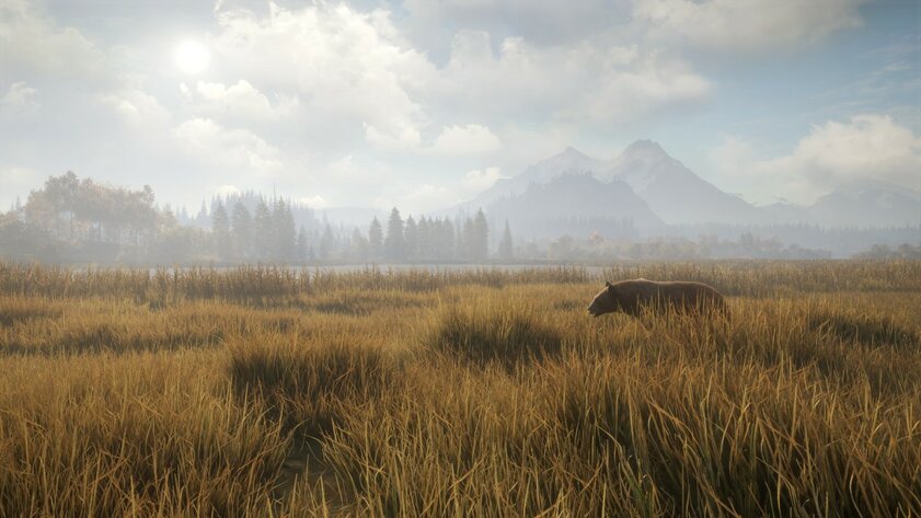 Можно не выходить из дома: 10 игр для PS5 и PS4, которые заменят ваши хобби на карантине