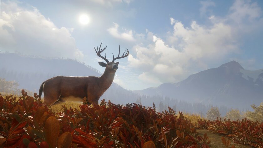 Можно не выходить из дома: 10 игр для PS5 и PS4, которые заменят ваши хобби на карантине