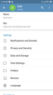 Forkgram 12.9.3.0. Скриншот 2