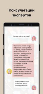 Picture Mushroom 2.9.31. Скриншот 4