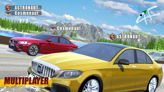 CarSim M5 and C63 1.31. Скриншот 4
