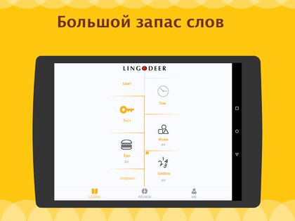 LingoDeer 2.99.396. Скриншот 11