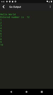 Go Compiler 1.7. Скриншот 2