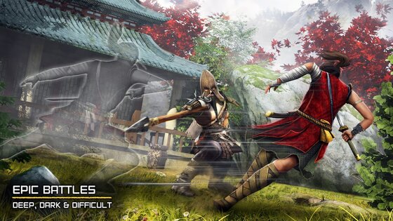 Ninja Ryoku 1.5.3. Скриншот 3