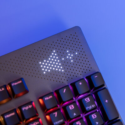 Можно самому заменять свитчи: и Cherry, и ROG! Тестирую ASUS ROG Strix Flare II Animate — Внешний вид и удобство. 7