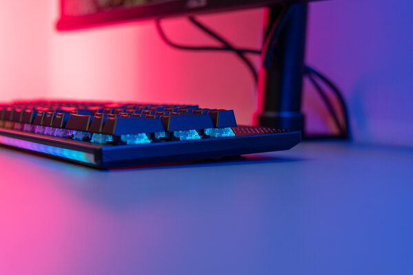 Можно самому заменять свитчи: и Cherry, и ROG! Тестирую ASUS ROG Strix Flare II Animate — Внешний вид и удобство. 17