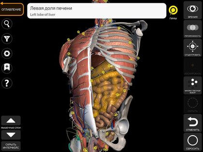 Анатомия – 3D Атлас 7.2. Скриншот 9
