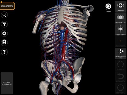 Анатомия – 3D Атлас 7.2. Скриншот 12