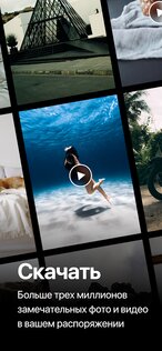 Pexels – HD+ фото и видео 8.2.10. Скриншот 1