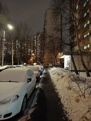 Эта фронталка лучше основной камеры. Обзор Infinix Zero 20