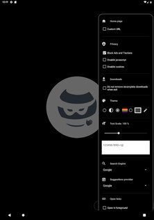 OH Private Browser 3.0.9. Скриншот 7