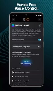 Skull-iQ 3.1.2. Скриншот 3