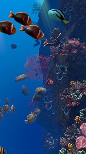 Ocean Aquarium живые обои 1.1. Скриншот 12