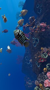 Ocean Aquarium живые обои 1.1. Скриншот 13