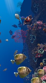 Ocean Aquarium живые обои 1.1. Скриншот 21