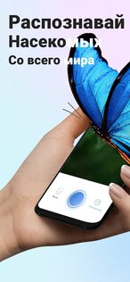 Picture Insect – распознавание насекомых 2.9.1. Скриншот 1