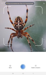 Picture Insect – распознавание насекомых 2.9.1. Скриншот 11