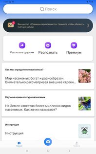 Picture Insect – распознавание насекомых 2.9.1. Скриншот 14