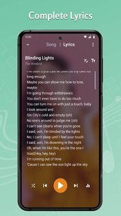 Tohsoft Music Player 12.9. Скриншот 5