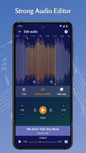 Tohsoft Music Player 12.9. Скриншот 7